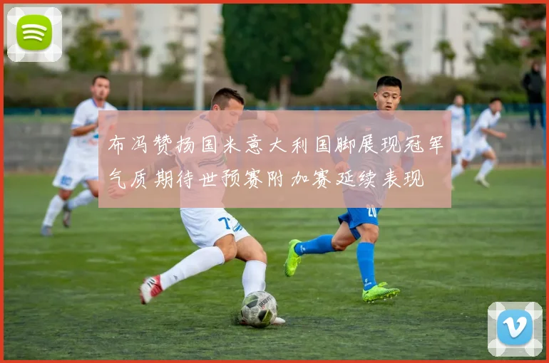 布冯赞扬国米意大利国脚展现冠军气质期待世预赛附加赛延续表现