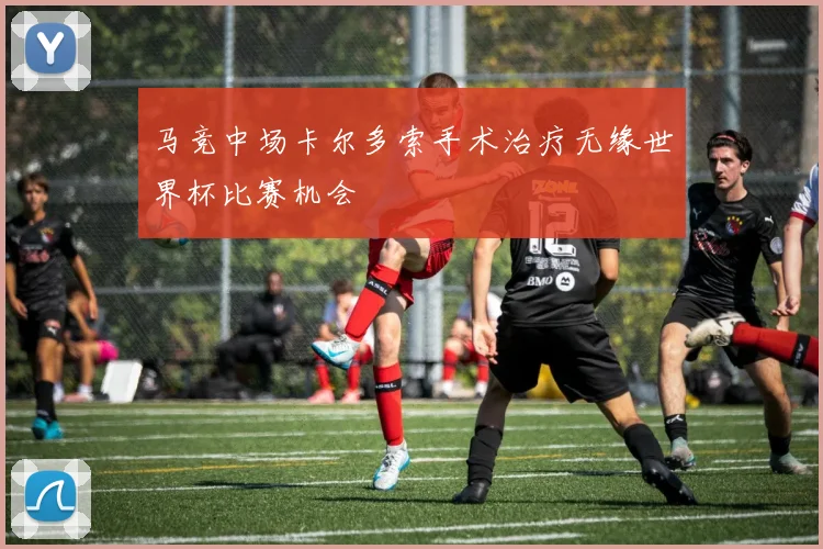 马竞中场卡尔多索手术治疗无缘世界杯比赛机会