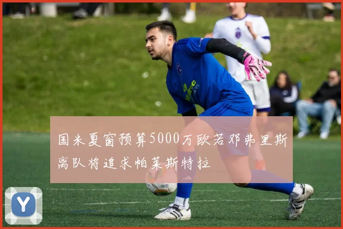 国米夏窗预算5000万欧若邓弗里斯离队将追求帕莱斯特拉