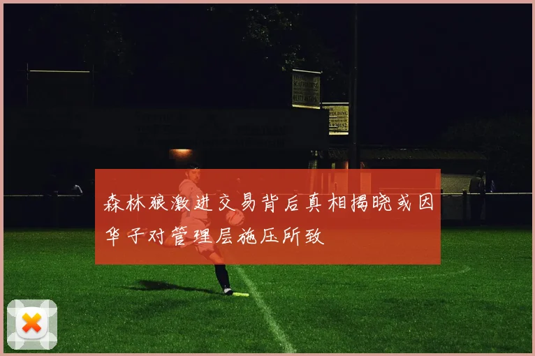 森林狼激进交易背后真相揭晓或因华子对管理层施压所致